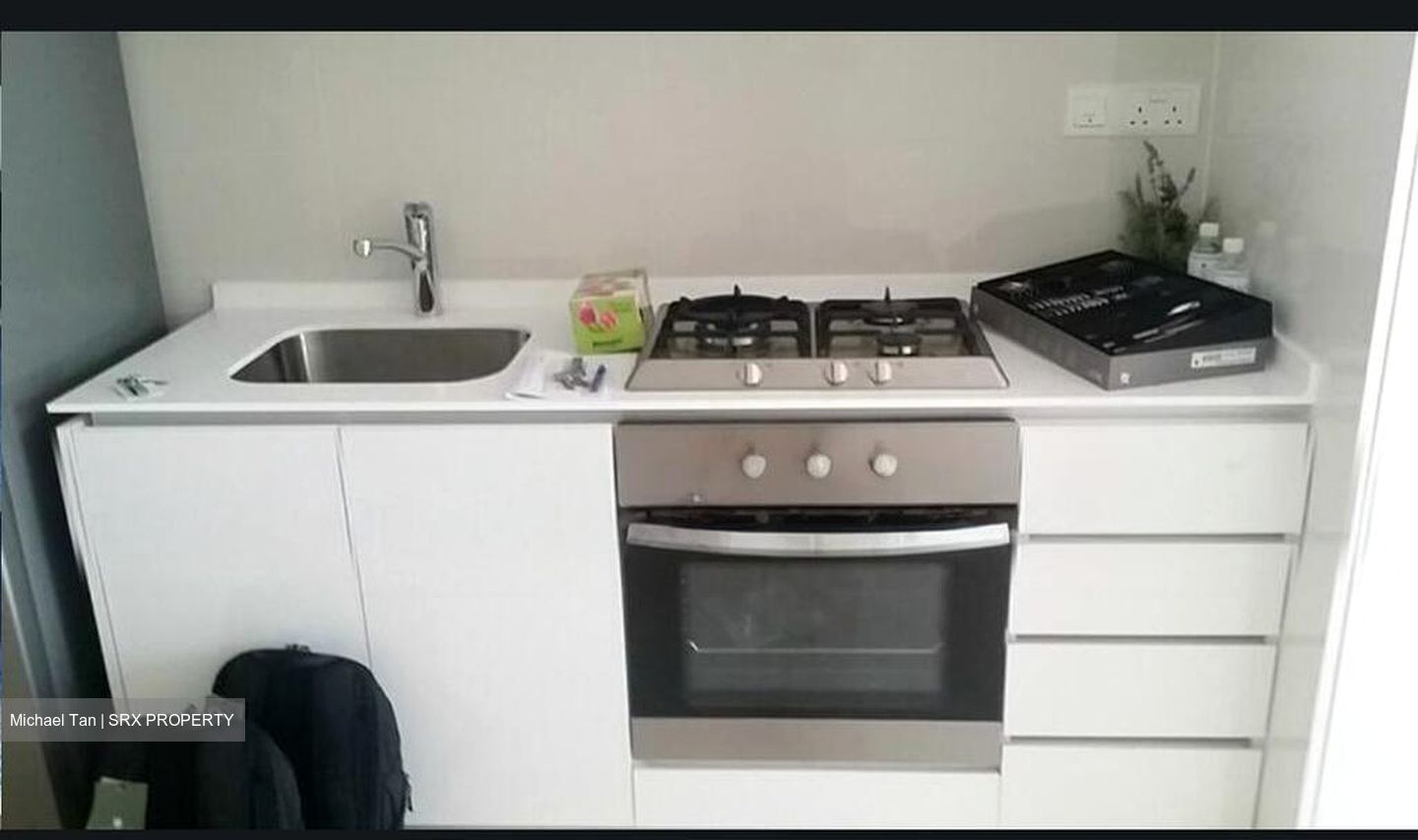 The Lakefront Residences (D22), Condominium #495834131